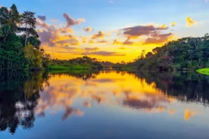 Best destinations in the Amazon