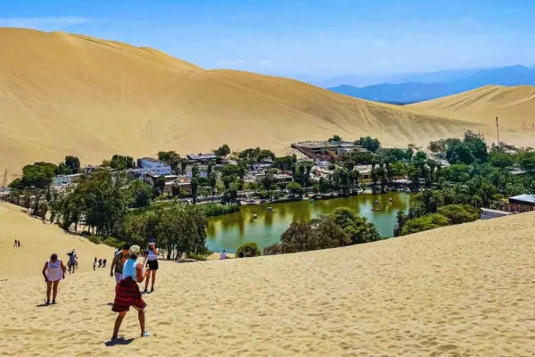 Full-Day Excursion to Paracas and Huacachina