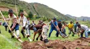 Legacy of Inca empire agriculture