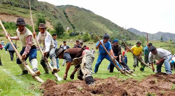 Legacy of Inca empire agriculture