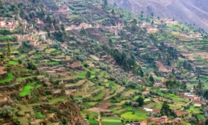 Understanding Inca empire agriculture