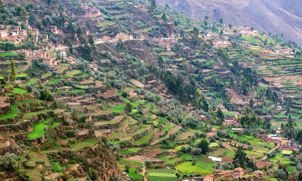 Understanding Inca empire agriculture