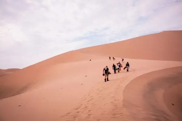 Year-round travel