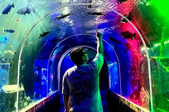Discover Parque de la Imaginación