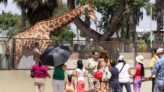 Visit Parque de las Leyendas